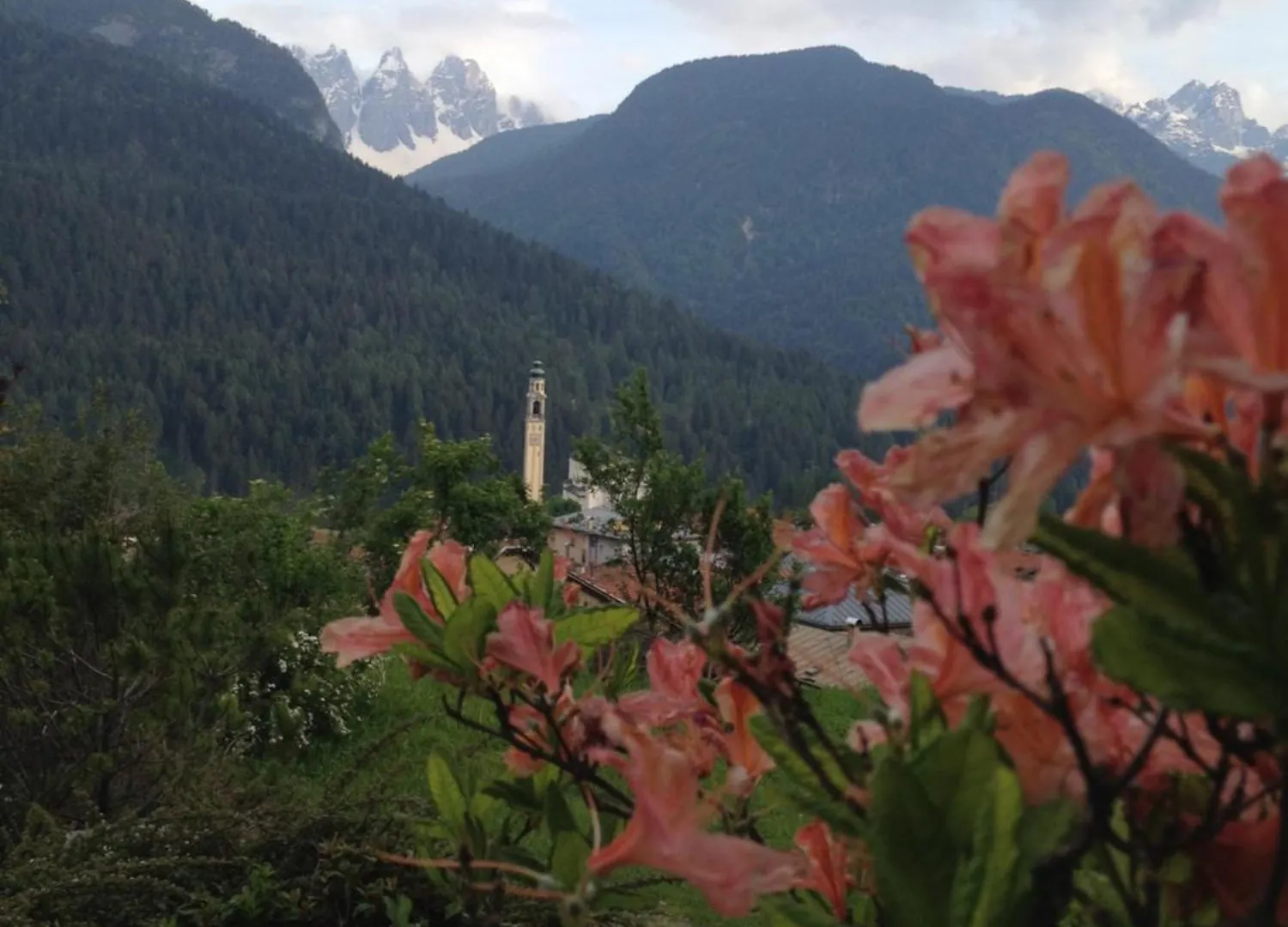 Fra Rose E Mughi Bed & Breakfast Domegge di Cadore