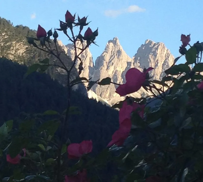 Fra Rose E Mughi Bed & Breakfast Domegge di Cadore